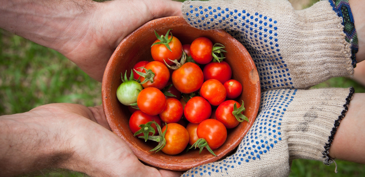 alimentazione biologica